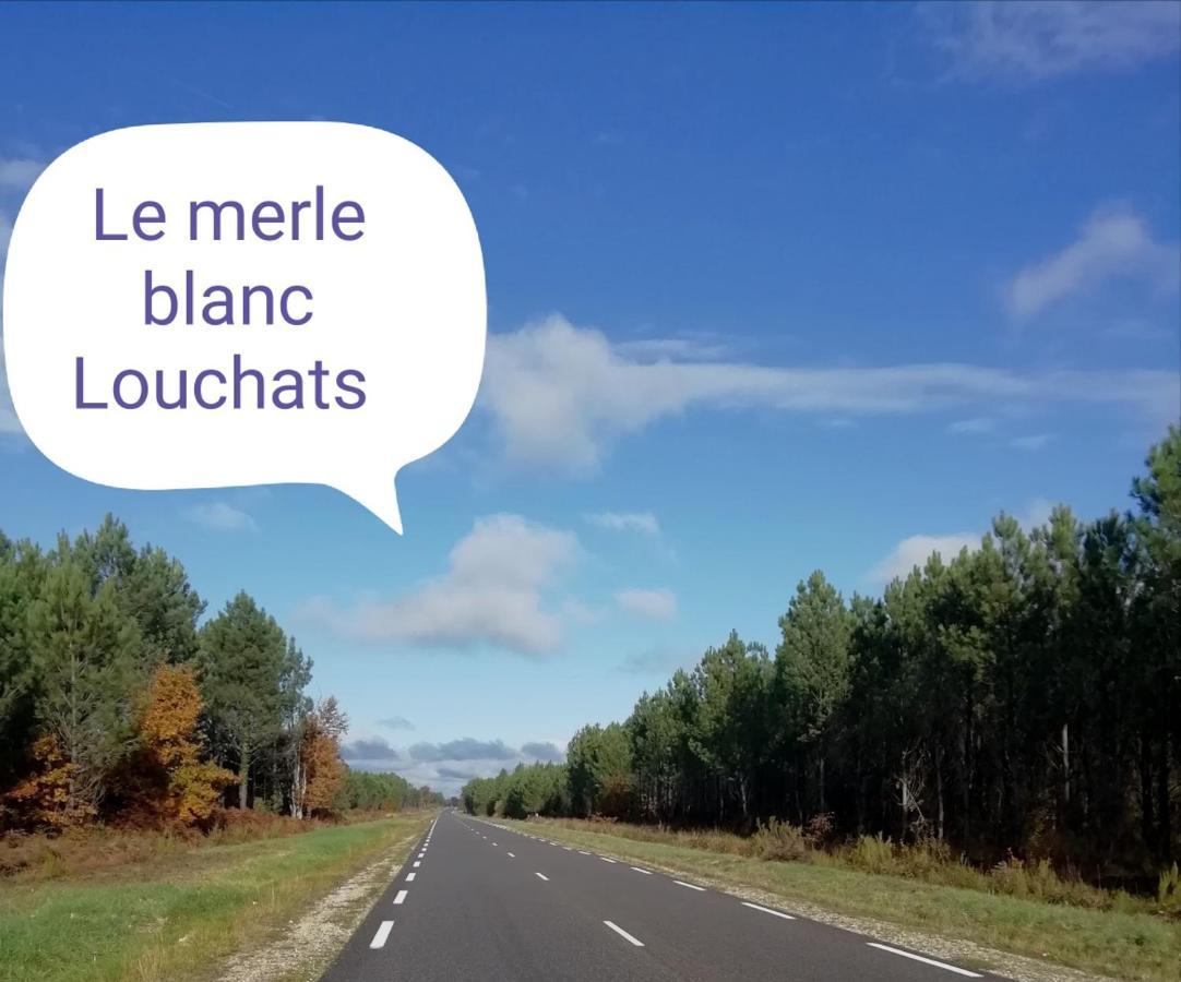 Отель Le Merle Blanc Louchats Экстерьер фото